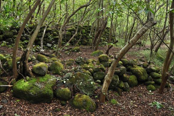 Ruínas de antigas habitações na Na'Pali Coast, costa norte de Kauai, no Havaí
